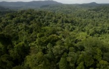 La genèse de Jangal Films La genèse de Jangal Films
