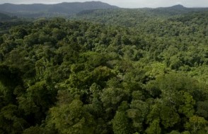 La genèse de Jangal Films La genèse de Jangal Films
