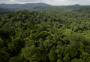 La genèse de Jangal Films