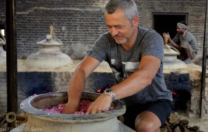 Stephane mélange Roses inde jangal films